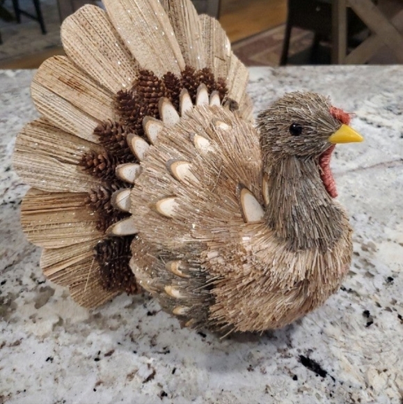 Gorgeous Natural Turkey-NWT - Picture 8 of 10